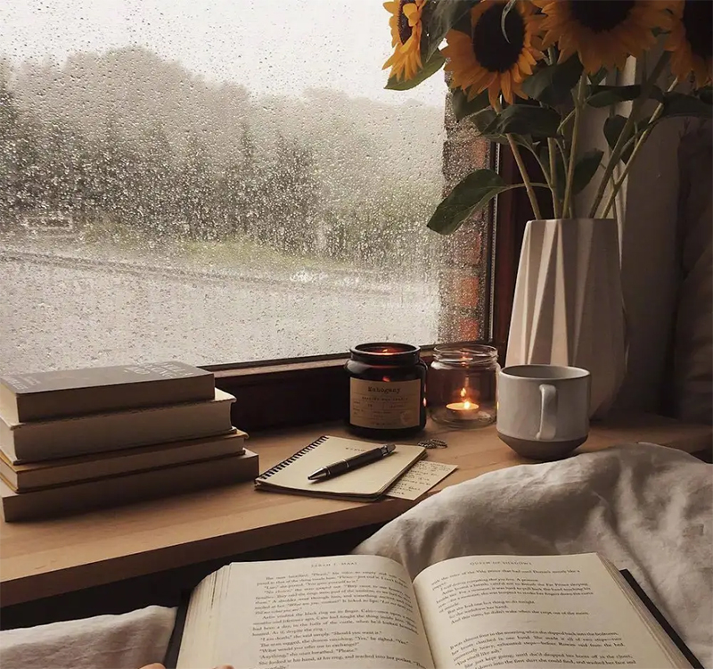 1655781242191989.jpg 夏至800-2.jpg